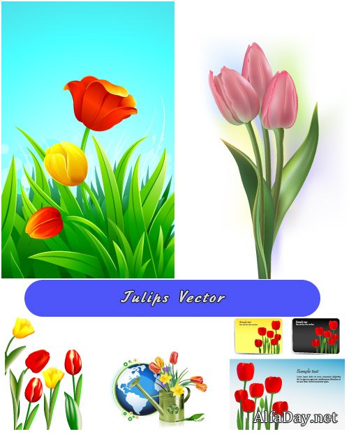 �������� �������� - ��������� �������