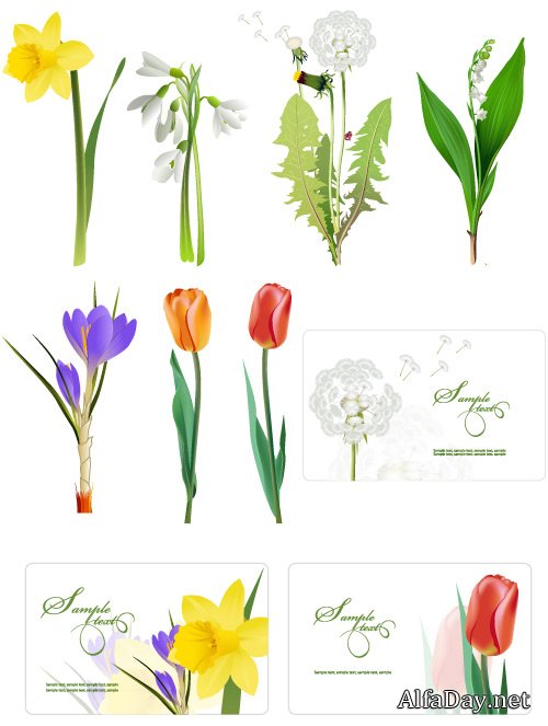 ���������, ������, �������� � ������ �������� (������)