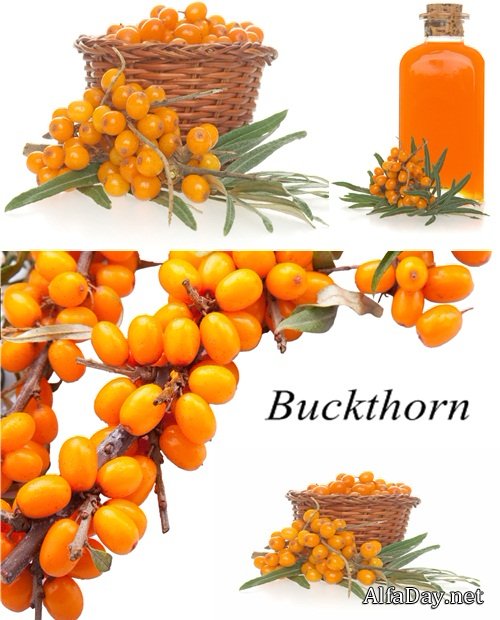 ���� �������� - ��������� ������� �� ����� ����