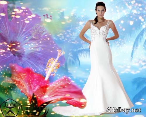 ������� ������ ��� �������� - ������ ������