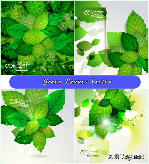 ������� ������ � ������� - ��������� �������, ����