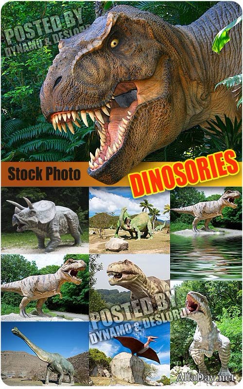 ��������� - ��������� �������