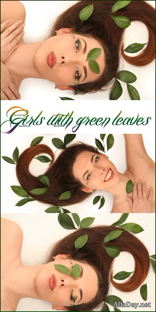 ��������� ������� - �������, �������� � �������� ��������, � ������� ��������, ����