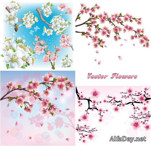 �������� ����� ����� � ������ - ��������� �������