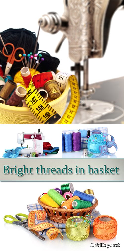 ���� ����� ��� ���� �����, ����, �������, ������������� �����, ���������, ������� ������ - ��������� ������� �� ����� ����