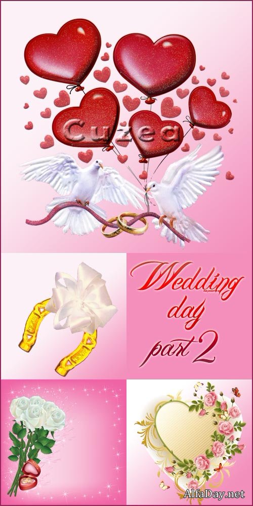 ���������, �������, ���� ���� �������, ��������� �������� 