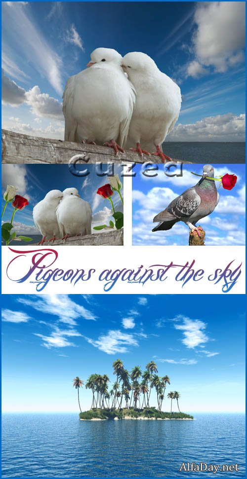 ��������� ������� : ������ �� ���� ����