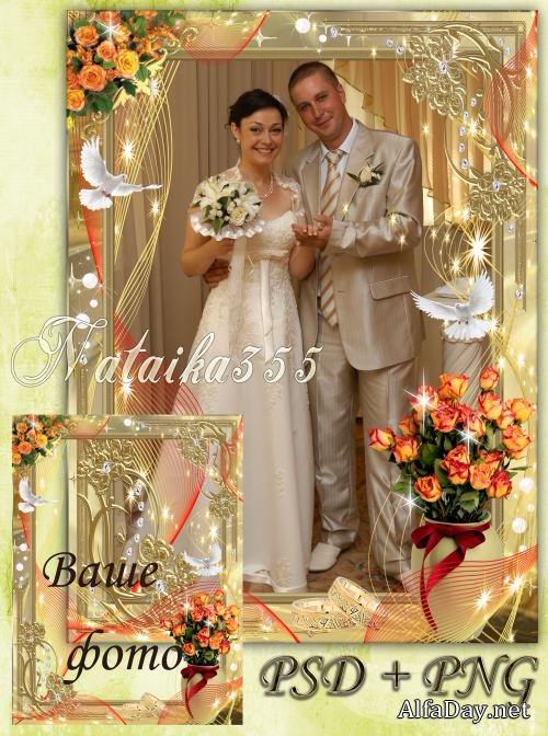 ����� ��� ���������� ���� - �������� �������� ������ ���