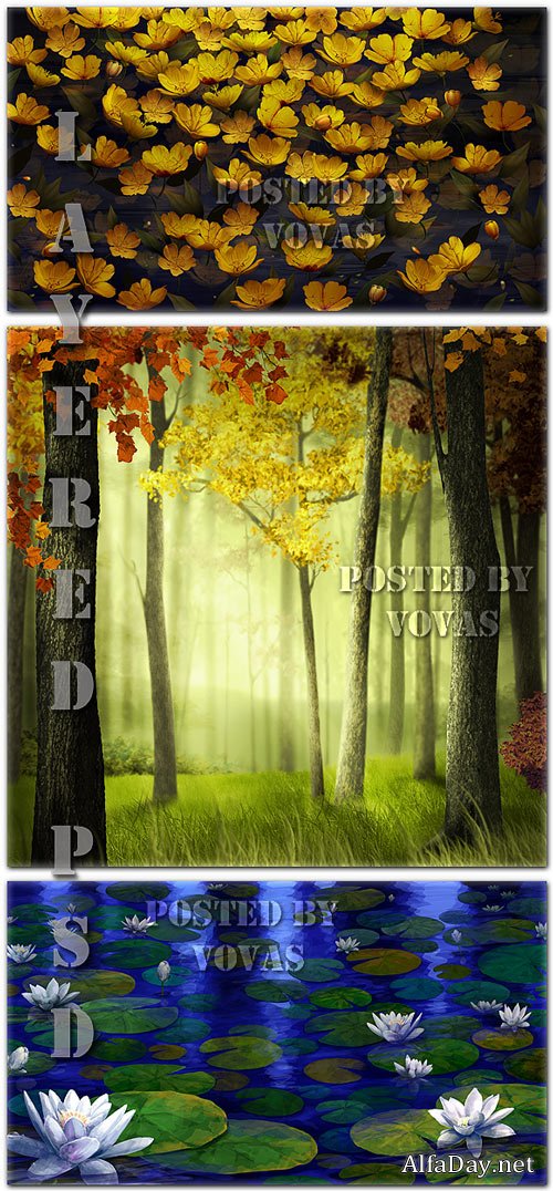 ������������ PSD ��������� �����, ��������, ������� ���