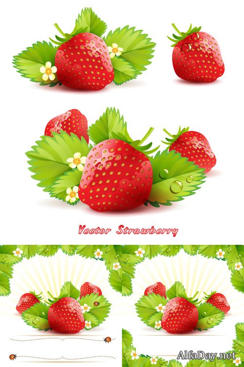 ������ �������� - ��������� �������