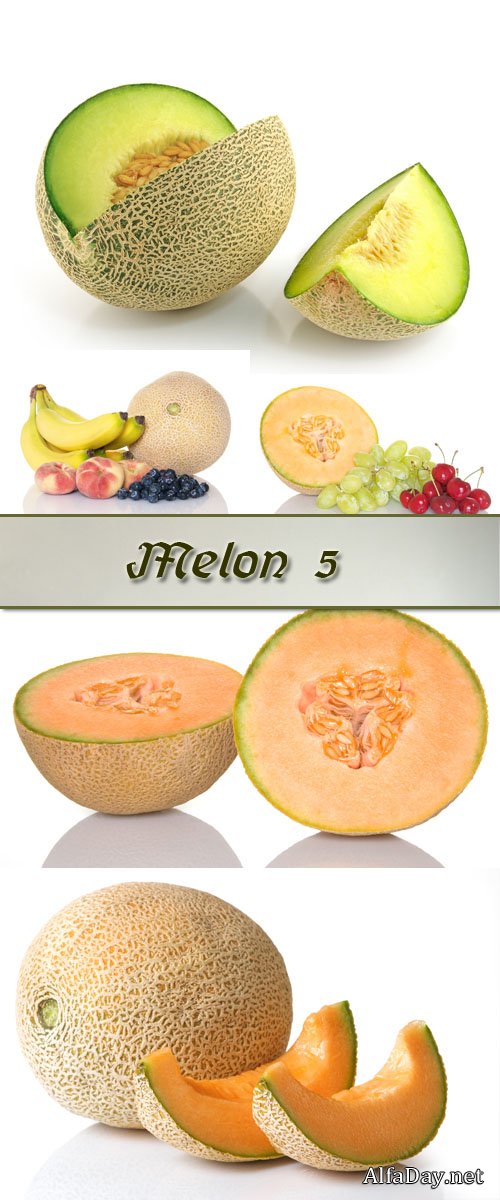 ���� ������ - ����, ������ ����, ��������, �������, ������, ����� - ��������� �������