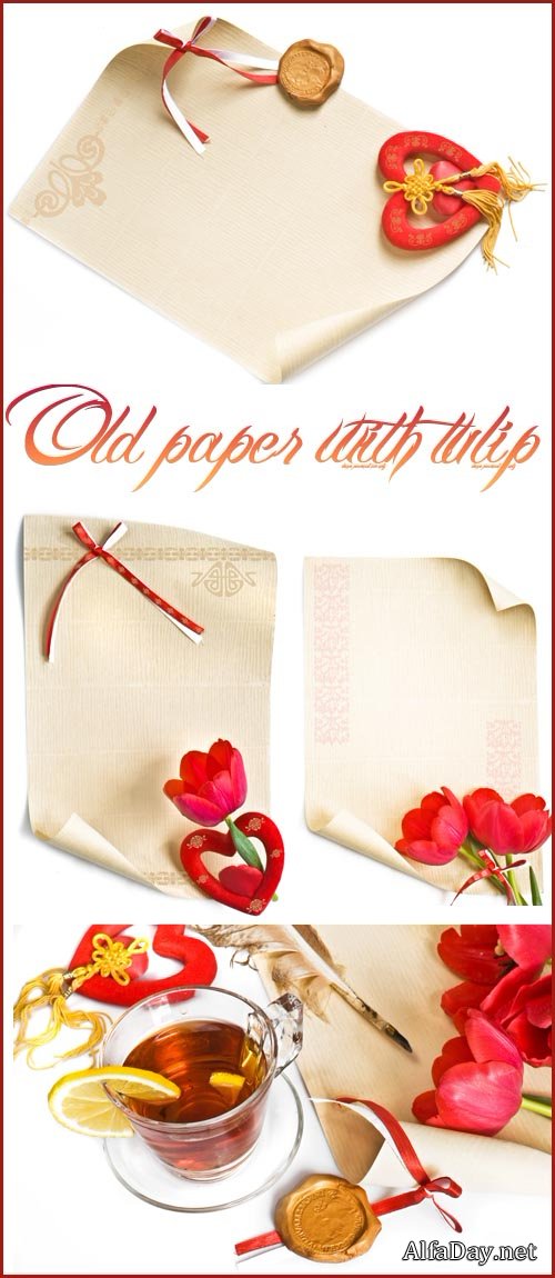 ��������� ������� : ��������� ������ � ���������