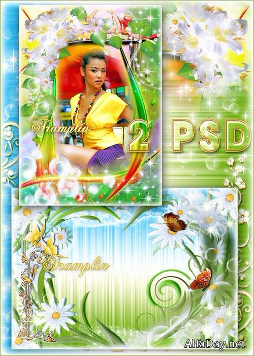 ����� ��� ���� - ��������� ����� �������, �����, ������� � ������