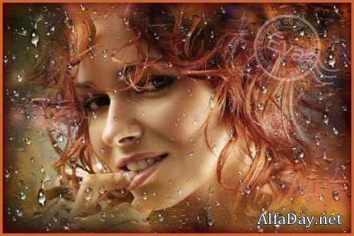 ����� ��� �������� - ����� �� �����