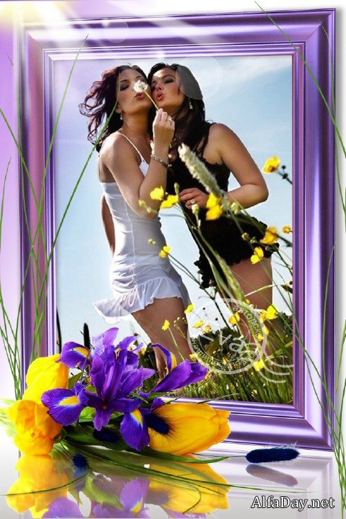 ����������� - ����� � ������ ��������