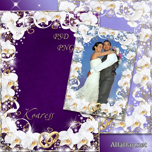 ��������� ��������� - ����� ������� � ������