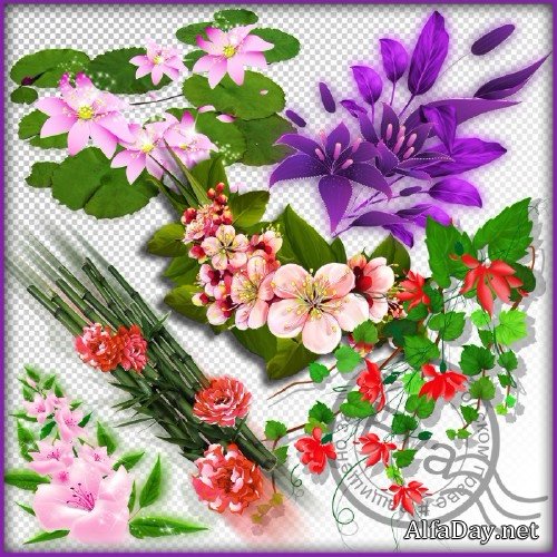 ������� - ��������� ����������, ����� ������������, �����, ��������, ��������� ����