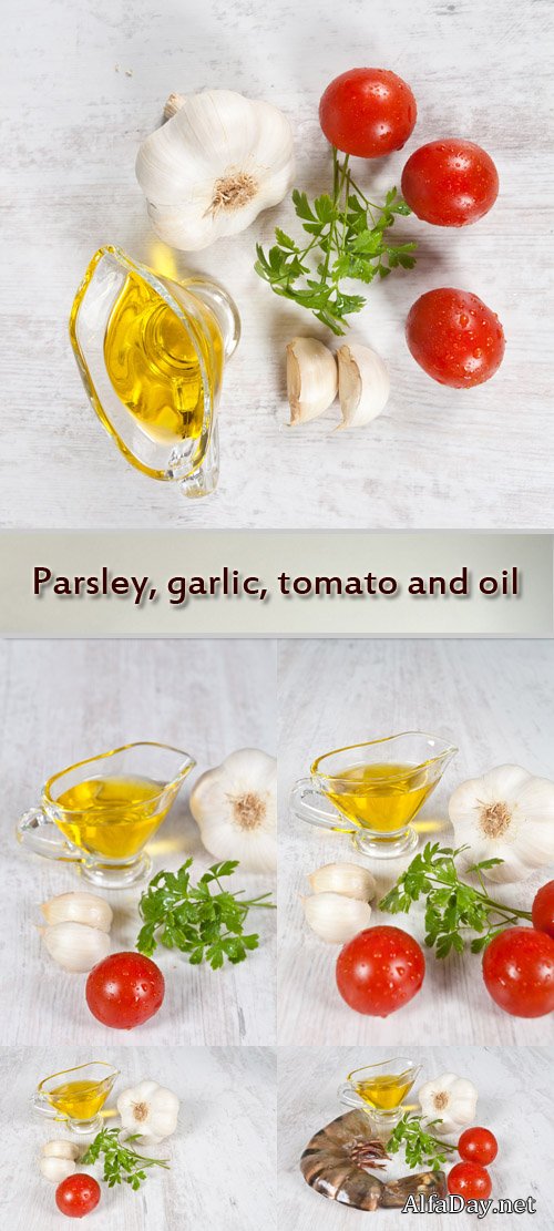 ���� ��������, ������, ������� � ������������ ����� - ��������� �������