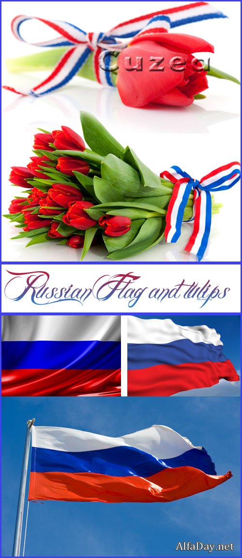 ��������� ������� : ���������� ���� � ��������