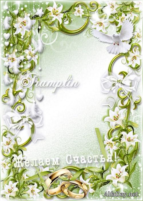 ��������� ����� � ������� � �������� �� ��������� ��������, �����, �������