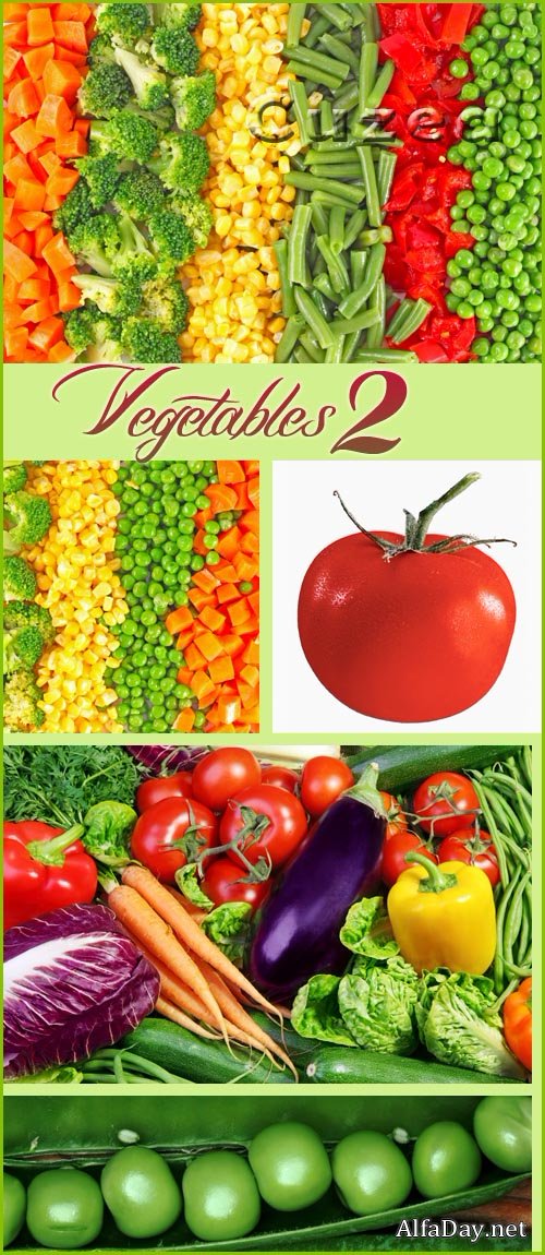 ���� �����, ��������, �������, �������, ��������, �������, �������, �������� - ��������� �������