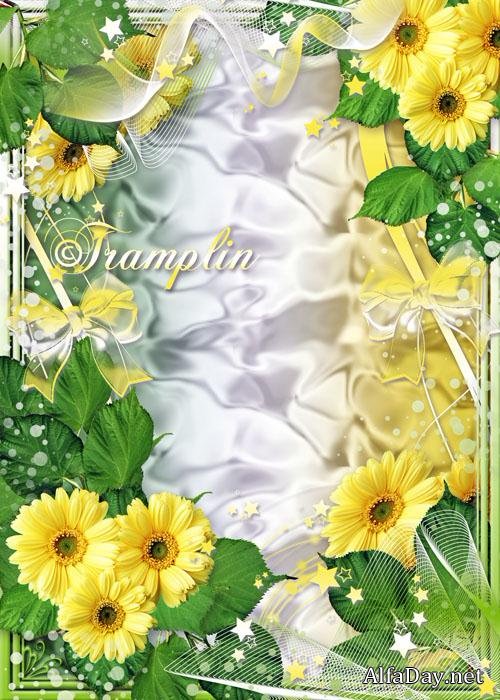 ��������� ����� ��� ���� � ������ ������� ����� ������ �������