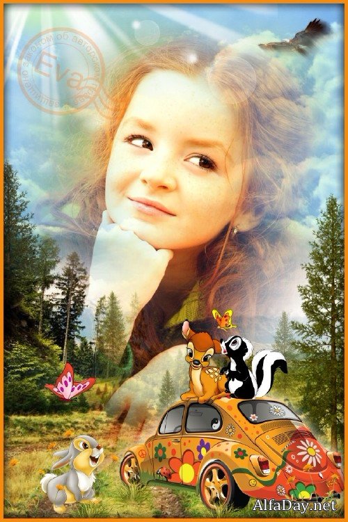 ������� ��������� - �������� �����, ������, ���������� � ����