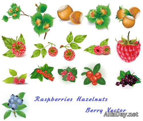 ������, ���������, ����� � ������ ����� - ��������� �������