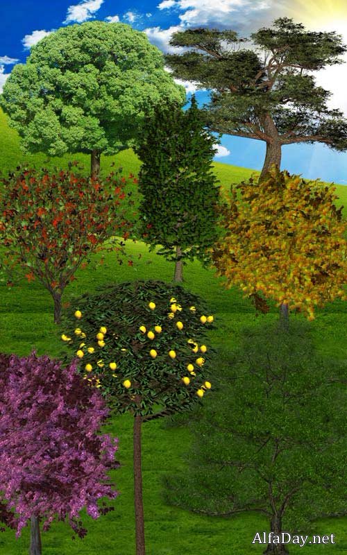 ��������, ������� � ���������� ������� � ����� - ������� ��� Photoshop PNG