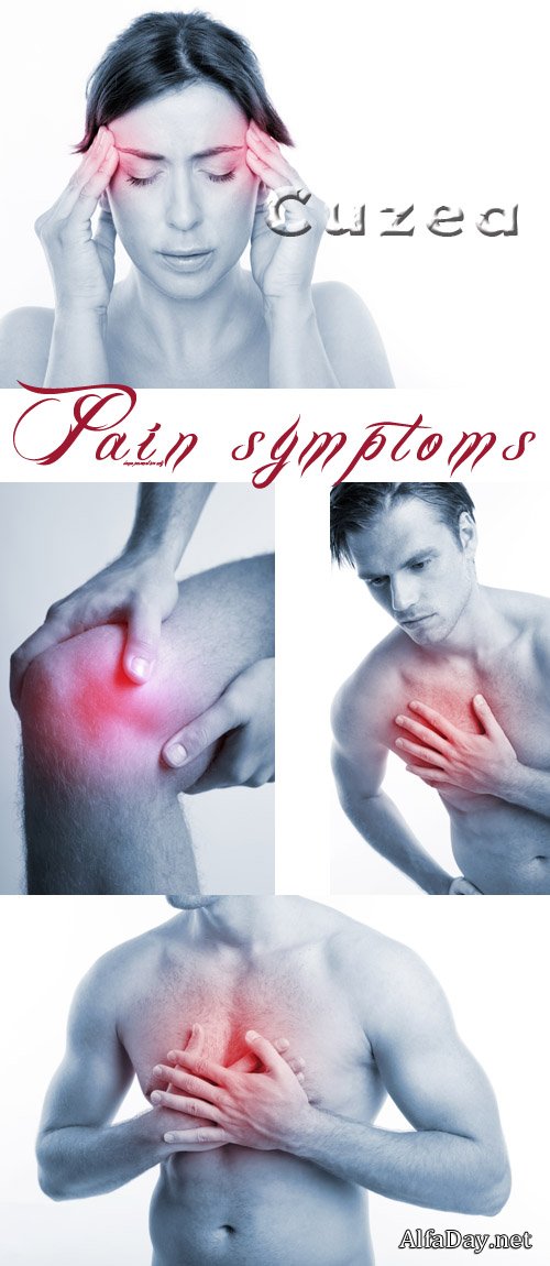 ���� ������� ������� ��������� �������