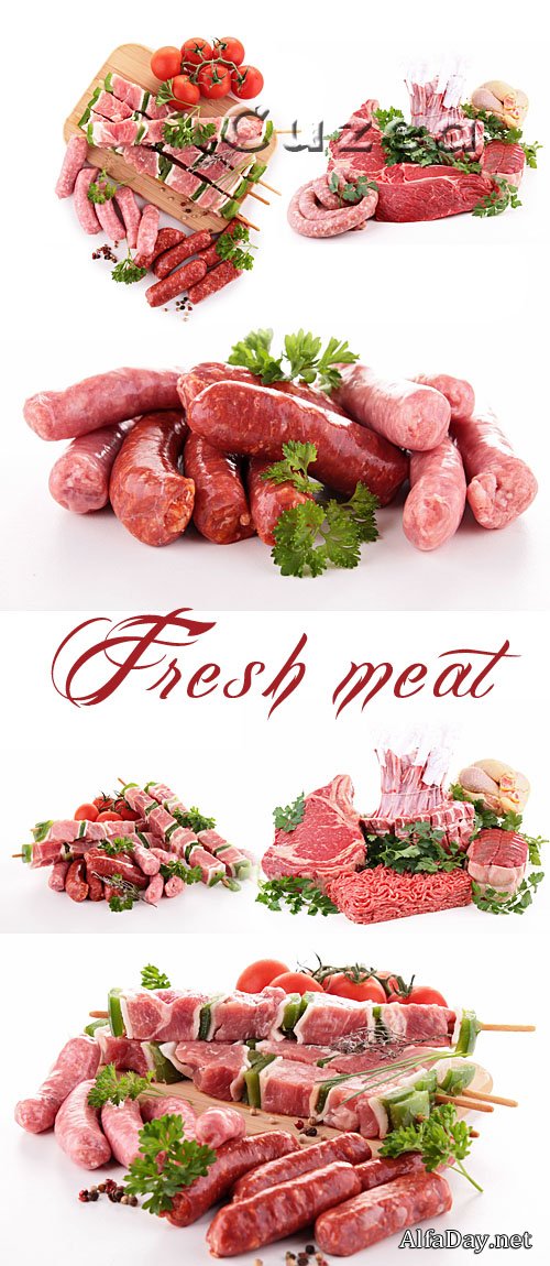 ���� ������ ����, �������, ������ - ��������� �������