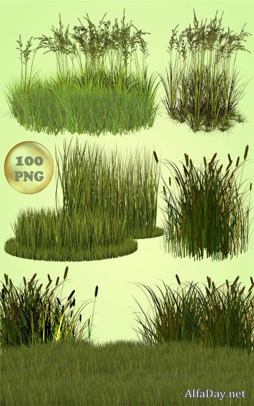 ������� � �������� ����� - ������� ��� Photoshop � PNG