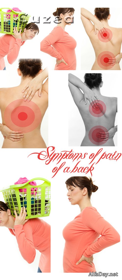 ���� �������� ���� � ����� - ��������� �������