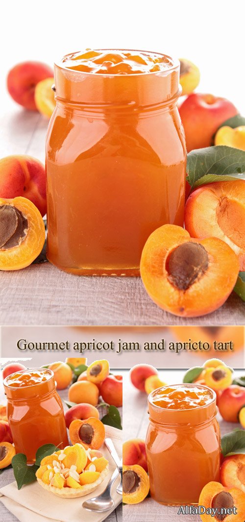 ���� ��������, ����, ����������� ������� � ����� - ��������� �������