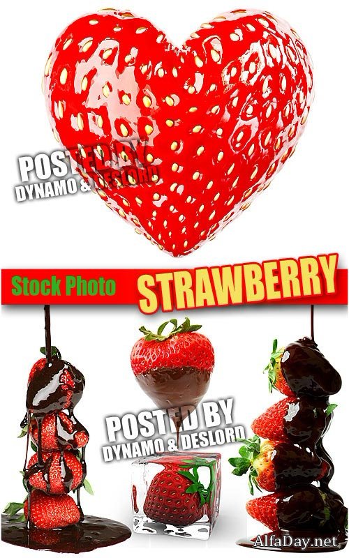 ���� �������� � �������� - ��������� ������� �� ����� ����