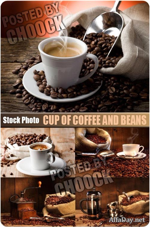 ���� ����� ���� � �������� ����� - ��������� �������