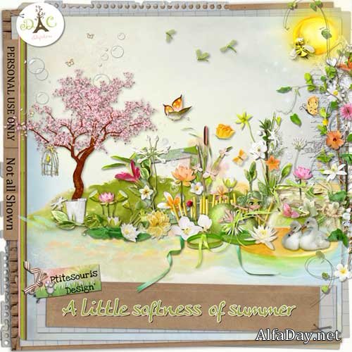 ������� �����-����� - ��������� ����