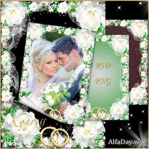 ������������ ����� ��� ��������� ���� - ������ �����, ������ ������