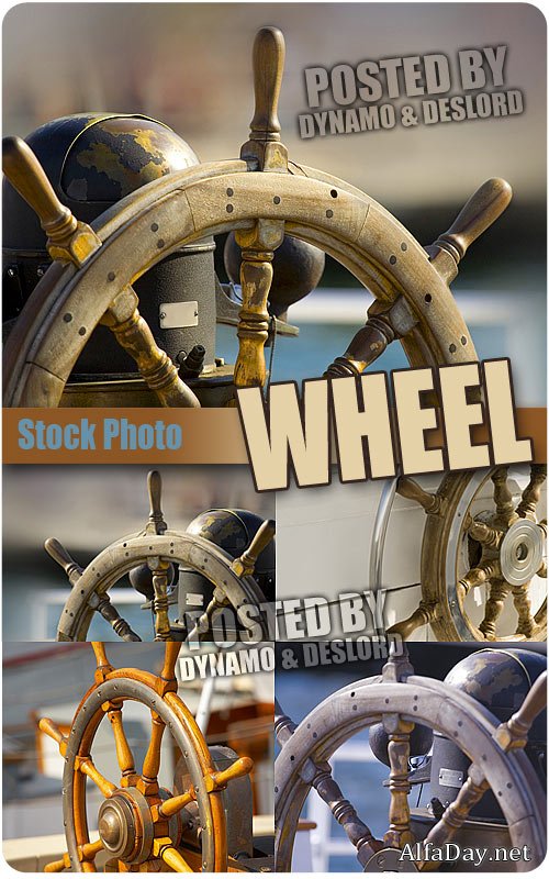 ���� ������� - ��������� �������