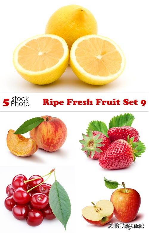 ������ � ������ ������, �����, ��������, ������, ������ � ����� - ����, ��������� ������� �� ����� ����