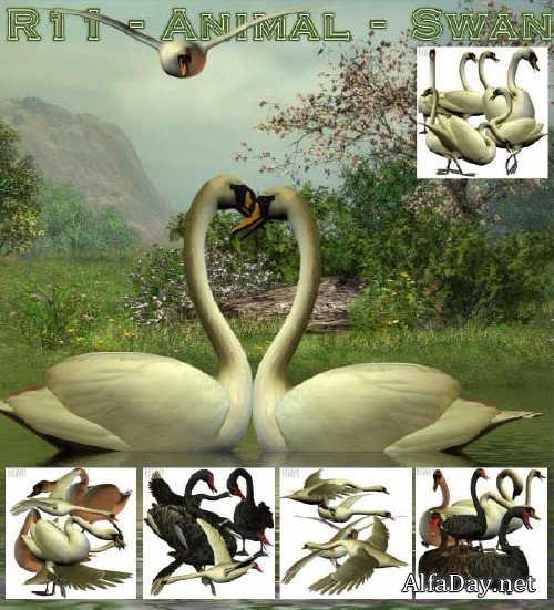 ������ - png ������� �� ���������� ���� ��� ������ � �������