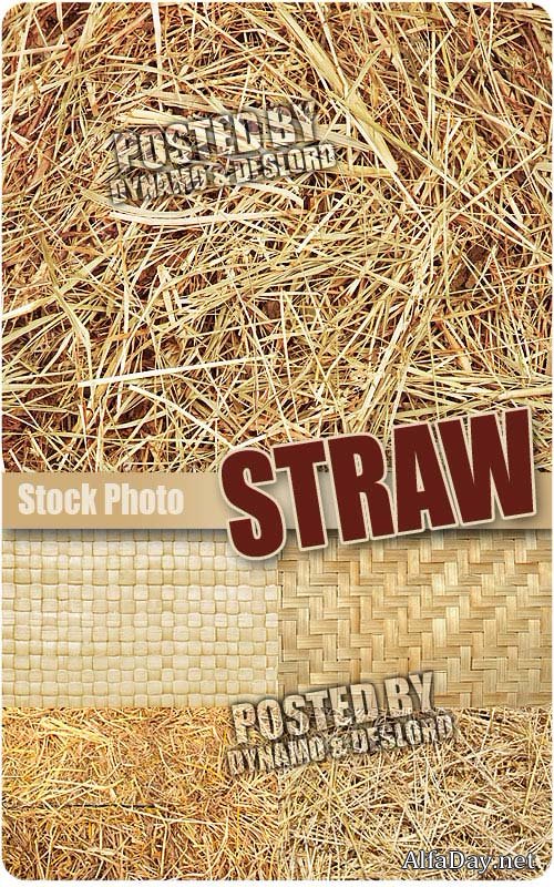 ���� � ������, �������� - ���� � ��������, ��������� �������