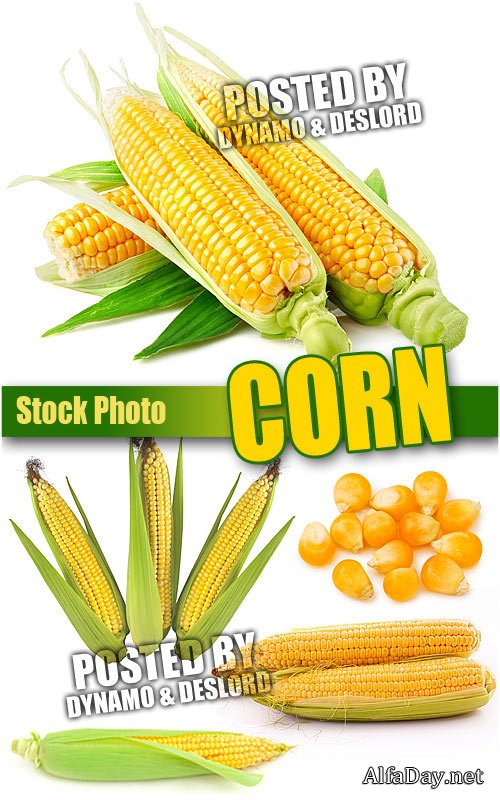 ��������, ������� - ����, ��������� ������� �� ����� ����