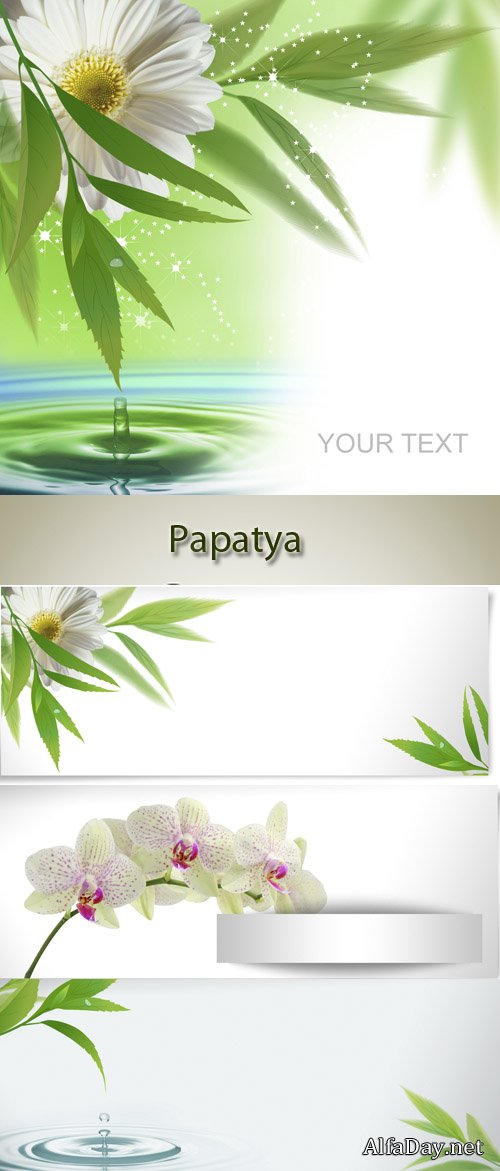 �������, �������, ������� ������ � ���� - ��������� �������