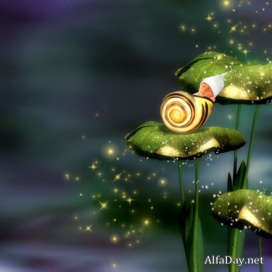 ��������� �����-����� - ������������� �����