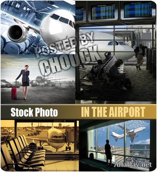 ��������, ������������ �������� - ����, ��������� �������