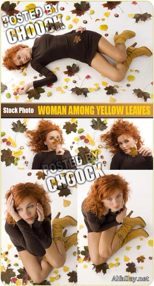 ������� ����� ������ �������� ������� - ����, ��������� �������