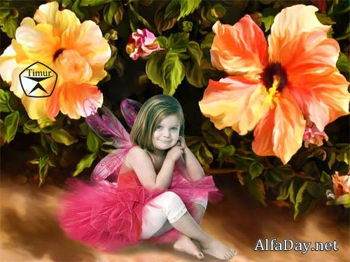 ������� ������ ��� �������� - ��� ������