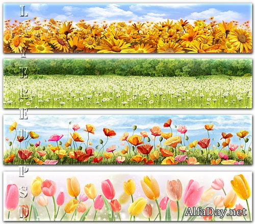 ���� � �������, ����, ����������, �������, �������� - PSD ��������� ��� Photoshop, ��������� �������