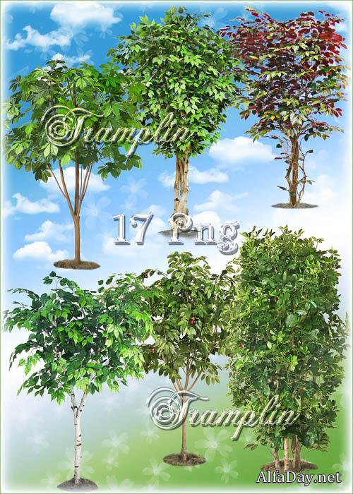 ������� �� ���������� ���� � ������� - ��� ����������� ������� ������